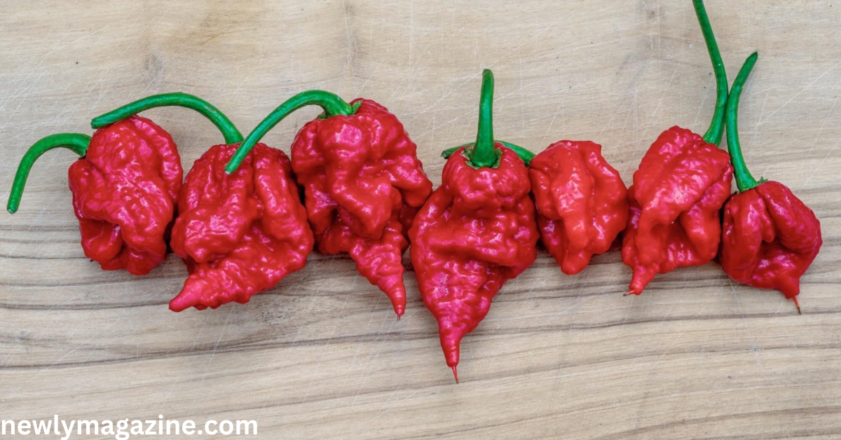 California Reaper : Rating origins and Heat Level Explained